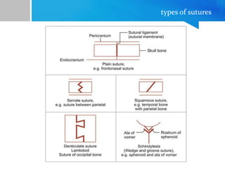 types of sutures
 