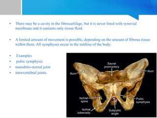 • There may be a cavity in the fibrocartilage, but it is never lined with synovial
membrane and it contains only tissue fluid.
• A limited amount of movement is possible, depending on the amount of fibrous tissue
within them. All symphyses occur in the midline of the body.
• Examples
• pubic symphysis
• manubrio-sternal joint
• intervertebral joints.
 