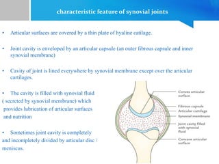 characteristic feature of synovial joints
• Articular surfaces are covered by a thin plate of hyaline catilage.
• Joint cavity is enveloped by an articular capsule (an outer fibrous capsule and inner
synovial membrane)
• Cavity of joint is lined everywhere by synovial membrane except over the articular
cartilages.
• The cavity is filled with synovial fluid
( secreted by synovial membrane) which
provides lubrication of articular surfaces
and nutrition
• Sometimes joint cavity is completely
and incompletely divided by articular disc /
meniscus.
 