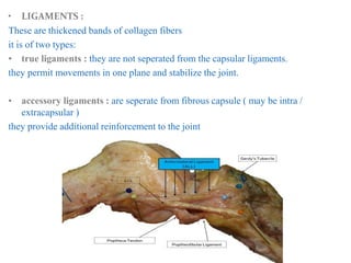 • LIGAMENTS :
These are thickened bands of collagen fibers
it is of two types:
• true ligaments : they are not seperated from the capsular ligaments.
they permit movements in one plane and stabilize the joint.
• accessory ligaments : are seperate from fibrous capsule ( may be intra /
extracapsular )
they provide additional reinforcement to the joint
 