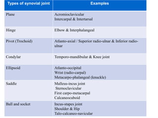 Types of synovial joint Examples
Plane Acromioclavicular
Intercarpal & Intertarsal
Hinge Elbow & Interphalangeal
Pivot (Trochoid) Atlanto-axial / Superior radio-ulnar & Inferior radio-
ulnar
Condylar Temporo-mandibular & Knee joint
Ellipsoid Atlanto-occipital
Wrist (radio-carpal)
Metacarpo-phalangeal (knuckle)
Saddle Malleus-incus joint
Sternoclavicular
First carpo-metacarpal
Calcaneocuboid
Ball and socket Incus-stapes joint
Shoulder & Hip
Talo-calcaneo-navicular
 