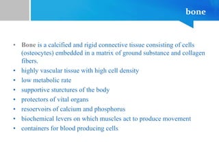 bone
• Bone is a calcified and rigid connective tissue consisting of cells
(osteocytes) embedded in a matrix of ground substance and collagen
fibers.
• highly vascular tissue with high cell density
• low metabolic rate
• supportive sturctures of the body
• protectors of vital organs
• resoervoirs of calcium and phosphorus
• biochemical levers on which muscles act to produce movement
• containers for blood producing cells
 