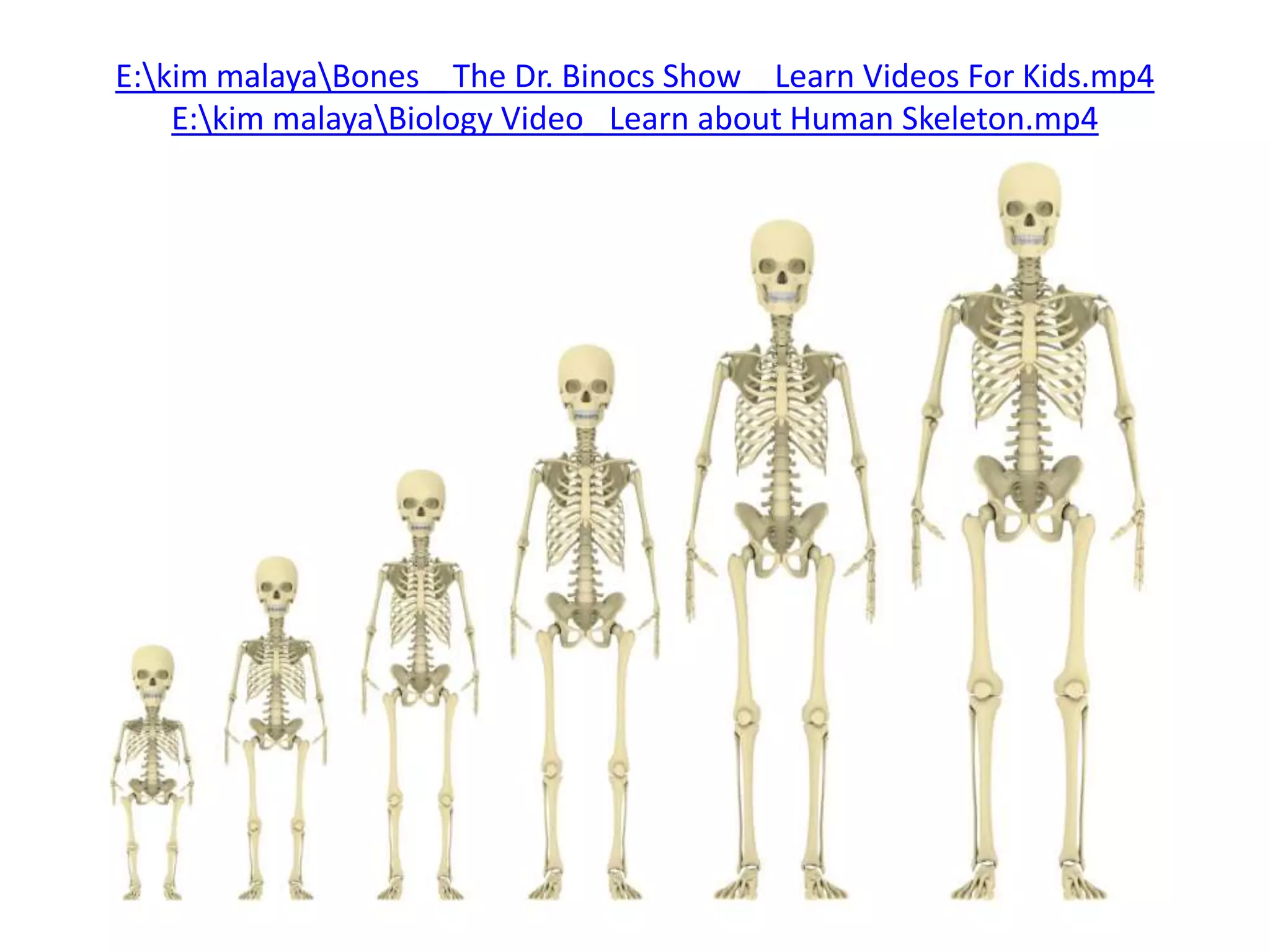 E:kim malayaBones _ The Dr. Binocs Show _ Learn Videos For Kids.mp4
E:kim malayaBiology Video_ Learn about Human Skeleton.mp4
 