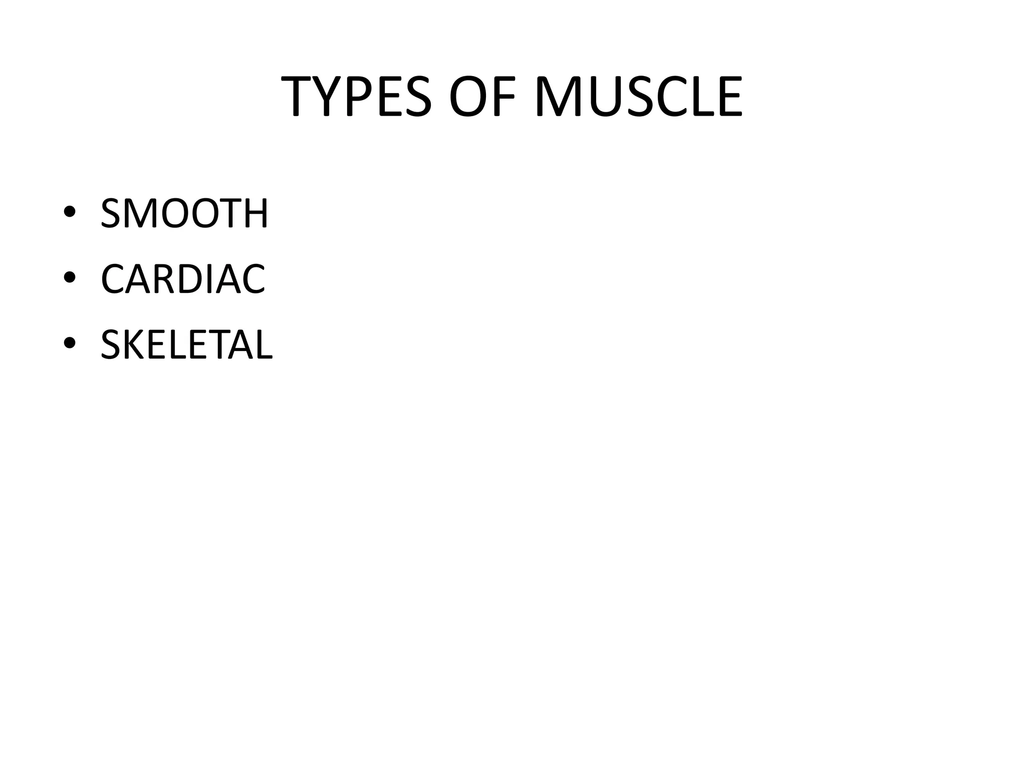 TYPES OF MUSCLE
• SMOOTH
• CARDIAC
• SKELETAL
 