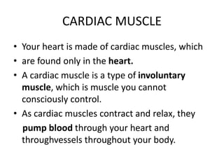 CARDIAC MUSCLE
• Your heart is made of cardiac muscles, which
• are found only in the heart.
• A cardiac muscle is a type of involuntary
muscle, which is muscle you cannot
consciously control.
• As cardiac muscles contract and relax, they
pump blood through your heart and
throughvessels throughout your body.
 