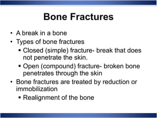 • A break in a bone
• Types of bone fractures
 Closed (simple) fracture- break that does
not penetrate the skin.
 Open (compound) fracture- broken bone
penetrates through the skin
• Bone fractures are treated by reduction or
immobilization
 Realignment of the bone
Bone Fractures
 
