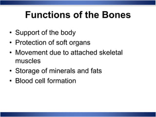 Functions of the Bones
• Support of the body
• Protection of soft organs
• Movement due to attached skeletal
muscles
• Storage of minerals and fats
• Blood cell formation
 
