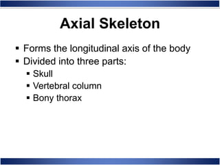 Axial Skeleton
 Forms the longitudinal axis of the body
 Divided into three parts:
 Skull
 Vertebral column
 Bony thorax
 
