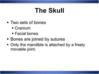 The Skull
 Two sets of bones
 Cranium
 Facial bones
 Bones are joined by sutures
 Only the mandible is attached by a freely
movable joint.
 