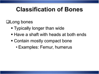 Long bones
 Typically longer than wide
 Have a shaft with heads at both ends
 Contain mostly compact bone
• Examples: Femur, humerus
Classification of Bones
 