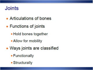 Skeletal System Anatomy and Physiology