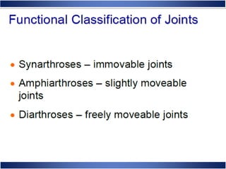 Skeletal System Anatomy and Physiology