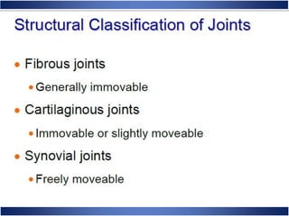 Skeletal System Anatomy and Physiology