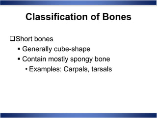 Short bones
 Generally cube-shape
 Contain mostly spongy bone
• Examples: Carpals, tarsals
Classification of Bones
 