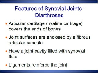 Skeletal System Anatomy and Physiology