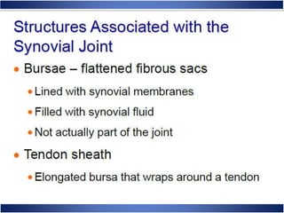 Skeletal System Anatomy and Physiology