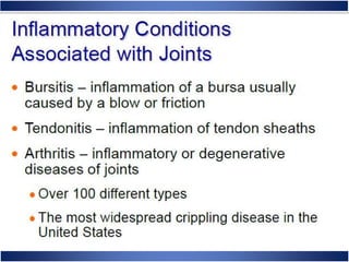 Skeletal System Anatomy and Physiology
