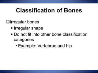 Irregular bones
 Irregular shape
 Do not fit into other bone classification
categories
• Example: Vertebrae and hip
Classification of Bones
 