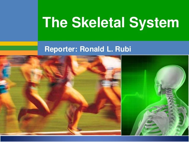 Skeletal System Anatomy And Physiology