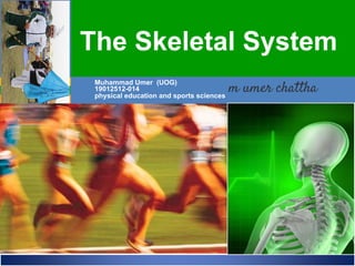 ELAINE N. MARIEB
EIGHTH EDITION
5
Copyright © 2006 Pearson Education, Inc., publishing as Benjamin Cummings
ESSENTIALS
OF HUMAN
ANATOMY
& PHYSIOLOGY
PART A
Muhammad Umer (UOG)
19012512-014
physical education and sports sciences
The Skeletal System
 