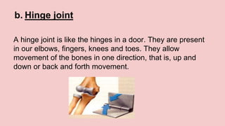 b. Hinge joint
A hinge joint is like the hinges in a door. They are present
in our elbows, fingers, knees and toes. They allow
movement of the bones in one direction, that is, up and
down or back and forth movement.
 