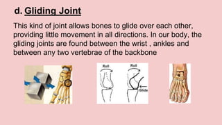 d. Gliding Joint
This kind of joint allows bones to glide over each other,
providing little movement in all directions. In our body, the
gliding joints are found between the wrist , ankles and
between any two vertebrae of the backbone
 
