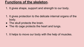 Functions of the skeleton.
1. It gives shape, support and strength to our body.
1. It gives protection to the delicate internal organs of the
body.
● The skull protects the brain.
● The rib cage protects the heart and lungs.
1. It helps to move our body with the help of muscles.
 