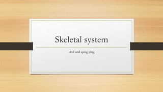 Skeletal system
Asil and qang ying
 