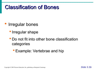 skeletal system bone classification & structure powerpoint (chapter 6).ppt