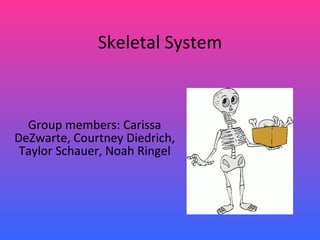 Skeletal System Group members: Carissa DeZwarte, Courtney Diedrich, Taylor Schauer, Noah Ringel 