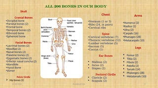 11/10/2024 Pranabjyoti Das 11
All 206 Bones in our body
Skull
Cranial Bones
•Occipital bone
•Parietal bones (2)
•Frontal bone
•Temporal bones (2)
•Ethmoid bone
•Sphenoid bone
Facial Bones
•Lacrimal bones (2)
•Maxillae (2)
•Nasal bones (2)
•Palatine bones (2)
•Zygomatic bones (2)
•Inferior nasal concha (2)
•Mandible
•Hyoid Bone
•Vomer
Pelvic Girdle
 Hip bones (2)
Chest
•Sternum (1 or 3)
•Ribs (24, in pairs)
•Cervical ribs
Spine
•Cervical vertebrae (7)
•Thoracic vertebrae (12)
•Lumbar vertebrae (5)
•Sacrum (5)
•Coccyx (1)
Ear Bones
 Malleus (2)
 Incus (2)
 Stapes (2)
Pectoral Girdle
 Clavicle (2)
 Scapula (2)
Arms
•Humerus (2)
•Radius (2)
•Ulna (2)
•Carpals (16)
•Phanages (28)
•Metacarpals (10)
Legs
 Femur (2)
 Tibia (2)
 Fibula (2)
 Patella (2)
 Tarsals (14)
 Phalanges (28)
 Metatarsals (10)
 