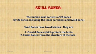 11/10/2024 Pranabjyoti Das 3
Skull Bones:
The human skull consists of 22 bones
(Or 29 bones, including the inner ear bones and hyoid bone)
Skull Bones have two divisions : They are
1. Cranial Bones which protect the brain.
2. Facial Bones: Form the structure of the face.
 