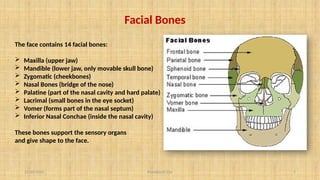11/10/2024 Pranabjyoti Das 5
Facial Bones
The face contains 14 facial bones:
 Maxilla (upper jaw)
 Mandible (lower jaw, only movable skull bone)
 Zygomatic (cheekbones)
 Nasal Bones (bridge of the nose)
 Palatine (part of the nasal cavity and hard palate)
 Lacrimal (small bones in the eye socket)
 Vomer (forms part of the nasal septum)
 Inferior Nasal Conchae (inside the nasal cavity)
These bones support the sensory organs
and give shape to the face.
 