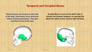11/10/2024 Pranabjyoti Das 7
Temporal and Occipital Bones
Temporal Bones are located on each side
of the skull, these bones house structures
vital for hearing and balance. They also
contribute to the skull’s base.
Occipital Bone is found at the skull’s back. It
includes the foramen magnum, an opening that
allows the spinal cord to connect with the brain.
 