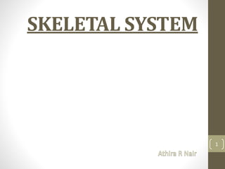 SKELETAL SYSTEM
1
 