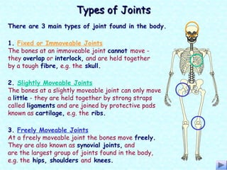 1. Fixed or Immoveable Joints
The bones at an immoveable joint cannot move -
they overlap or interlock, and are held together
by a tough fibre, e.g. the skull.
2. Slightly Moveable Joints
The bones at a slightly moveable joint can only move
a little - they are held together by strong straps
called ligaments and are joined by protective pads
known as cartilage, e.g. the ribs.
3. Freely Moveable Joints
At a freely moveable joint the bones move freely.
They are also known as synovial joints, and
are the largest group of joints found in the body,
e.g. the hips, shoulders and knees.
Types of JointsTypes of Joints
There are 3 main types of joint found in the body.
 