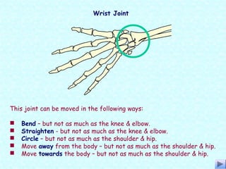 This joint can be moved in the following ways:
 Bend – but not as much as the knee & elbow.
 Straighten - but not as much as the knee & elbow.
 Circle – but not as much as the shoulder & hip.
 Move away from the body – but not as much as the shoulder & hip.
 Move towards the body – but not as much as the shoulder & hip.
Wrist Joint
 