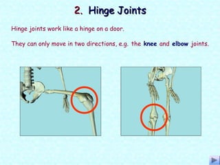 Hinge joints work like a hinge on a door.
2.2. Hinge JointsHinge Joints
They can only move in two directions, e.g. the knee and elbow joints.
 