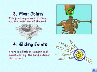 This joint only allows rotation,
e.g. the vertebrae of the neck.
3.3. Pivot JointsPivot Joints
There is a little movement in all
directions, e.g. the hand between
the carpals.
4.4. Gliding JointsGliding Joints
 