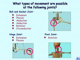 What types of movement are possibleWhat types of movement are possible
at the following joints?at the following joints?
 Extension
 Flexion
 Abduction
 Adduction
 Rotation
 Circumduction
 Extension
 Flexion
 Rotation
Ball and Socket Joint:
Hinge Joint: Pivot Joint:
 
