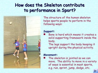 The structure of the human skeleton
helps sports people to perform in the
following ways:
How does the Skeleton contributeHow does the Skeleton contribute
to performance in Sport?to performance in Sport?
Support:
 Bone is hard which means it creates a
solid supporting framework inside the
body.
The legs support the body keeping it
upright during the physical activity.
Movement:
 The skeleton is jointed so we can
move. The ability to move in a variety
of ways is essential in most sports,
e.g. run, sprint, jump, dodge, etc.
 