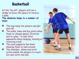 At the ‘tip-off’, players will use a
dodge to move into space to receive
a pass.
The skeleton helps in a number of
ways:
 The legs keep the players upright
and tall.
 The ankle, knee and hip joints allow
them to change speed, direction
and to jump - to lose their
opponents when dodging, sending or
receiving a ball.
 The neck supports the head
allowing them to look around.
 The shoulder, elbow and wrist
joints enable the players to reach
out and catch the ball.
BasketballBasketball
 