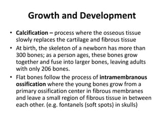 Skeletal System | PPT