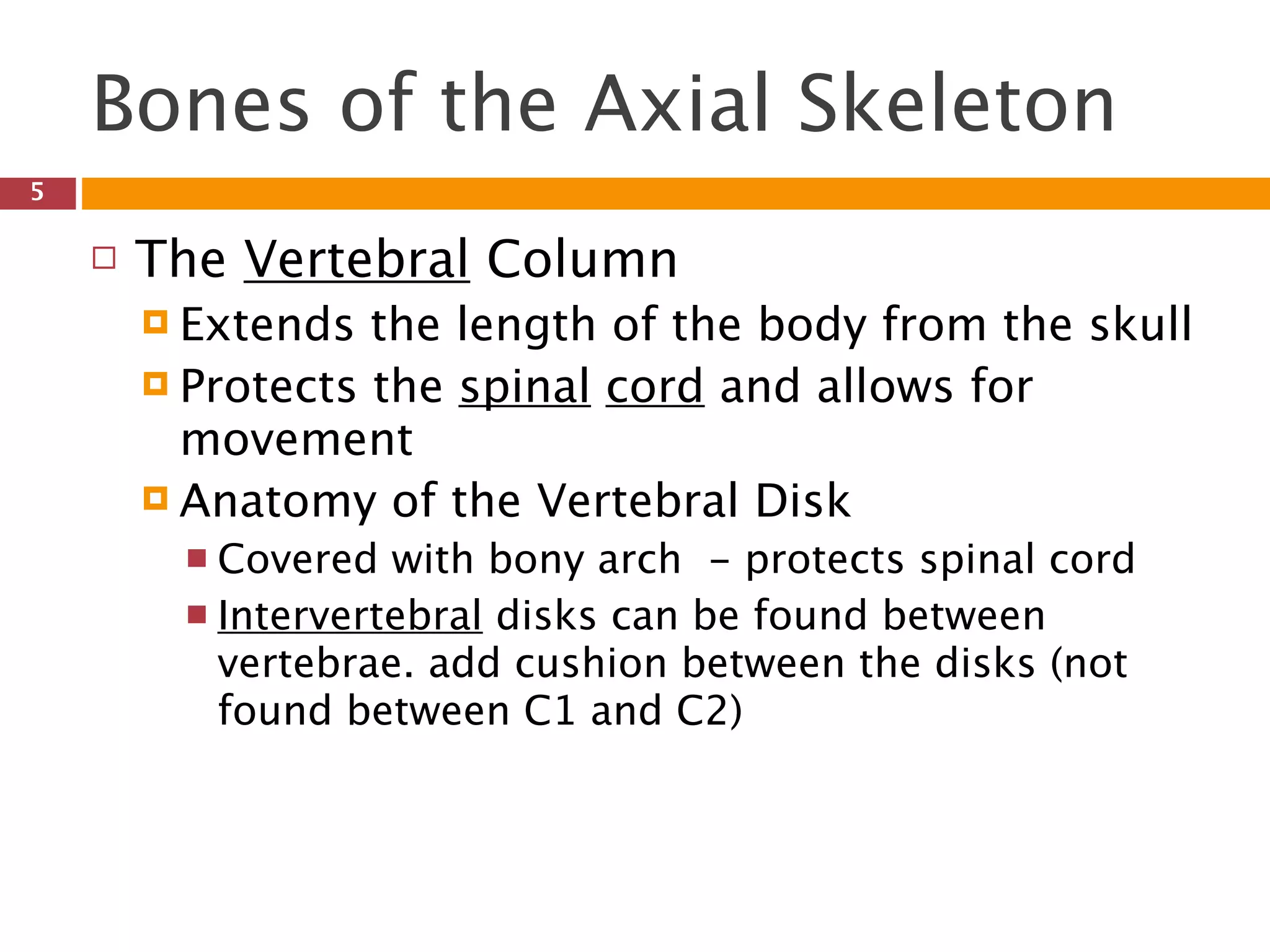 Skeletal System Introduction | PPT