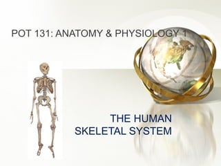 POWER POINT PRESENTATION ON SKELETAL SYSTEM | PPT