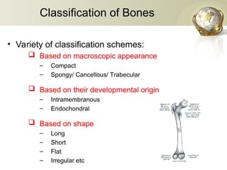 skeletal system new, Axial and Appendicular | PPT