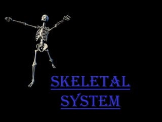 Skeletal
System
 