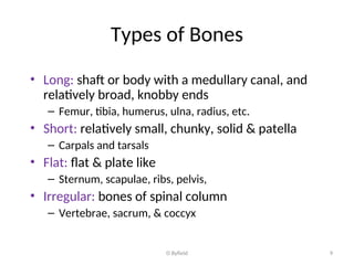 Intro to Biomech- Skeletal system notes 2019.ppt