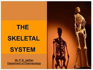 THE
SKELETAL
SYSTEM
Mr. P. B. Jadhav
Department of Pharmacology
 