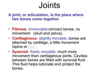 Joints
A joint, or articulation, is the place where
two bones come together.
• Fibrous- Immovable:connect bones, no
movement. (skull and pelvis).
• Cartilaginous- slightly movable, bones are
attached by cartilage, a little movement
(spine or ribs).
• Synovial- freely movable, much more
movement than cartilaginous joints. Cavities
between bones are filled with synovial fluid.
This fluid helps lubricate and protect the
bones.
 